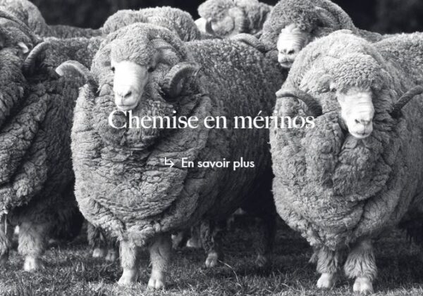 Chemise en mérinos - XACUS -