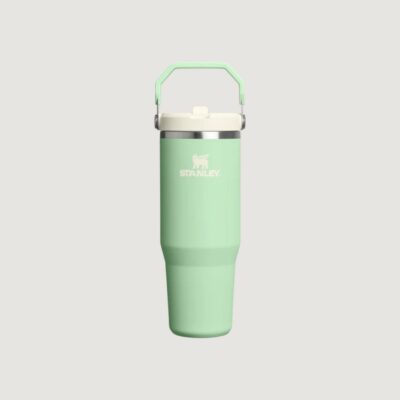 Ice flow pistachio "FLIP STRAW TUMBLER" 0.89L STANLEY